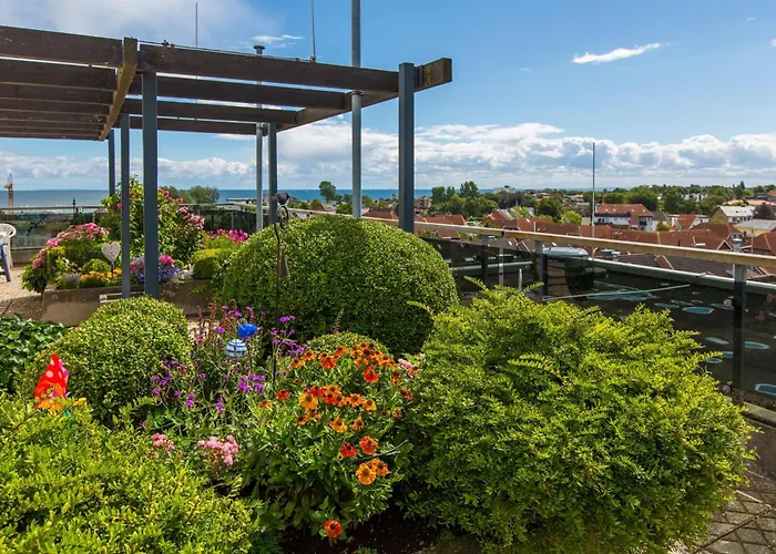 Berolina 401 - Moin Dahme (Schleswig-Holstein)