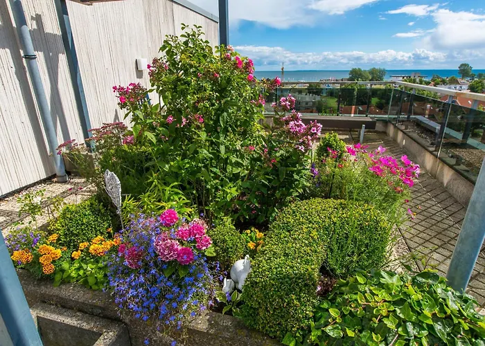 Berolina 401 - Moin *